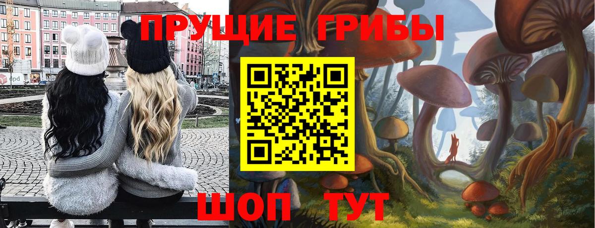 Псилоцибиновые грибы мухоморы  Вход с VPN  Орехово-Зуево 